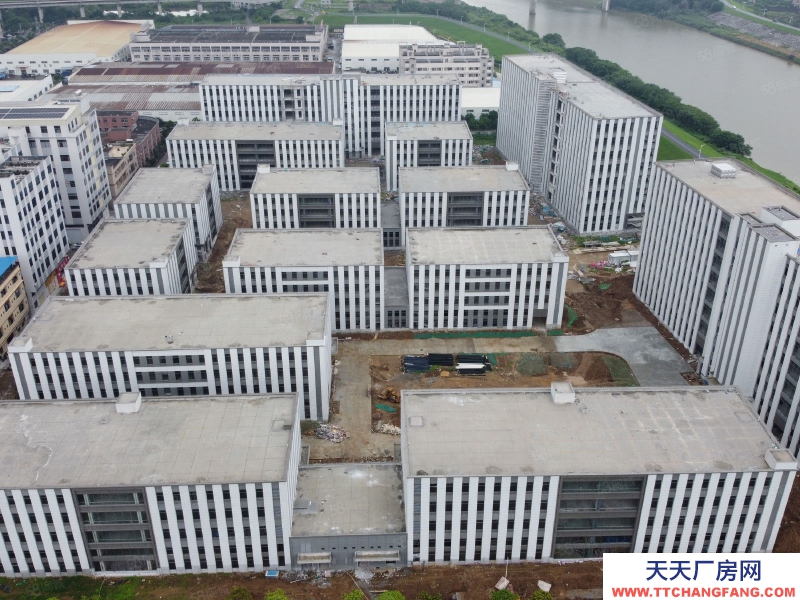 (出售) 廣州南沙一二層廠房,7米高可進行車,50年國有工業集聚,宿舍食堂