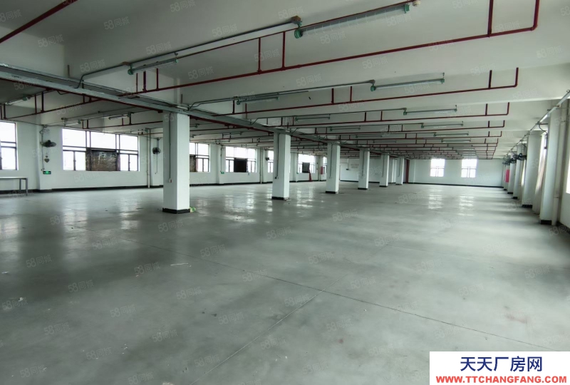 (出售) 廣州南沙全新裝修獨門獨院3500方標準廠房出售，價格便宜證件齊全