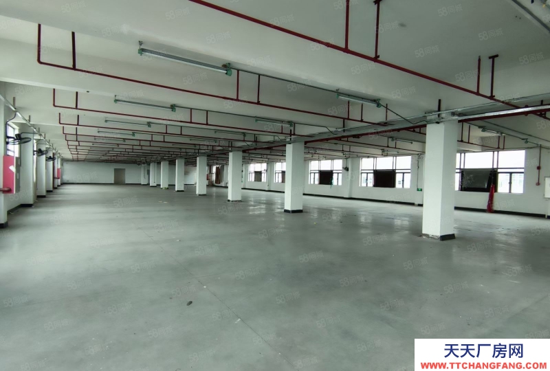 (出售) 廣州南沙全新裝修獨門獨院3500方標準廠房出售，價格便宜證件齊全