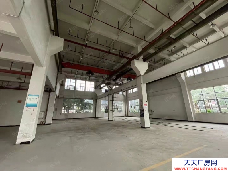 (出租) 廣州南沙東涌高端科創園區新裝修廠房辦公室倉庫300起租帶環評