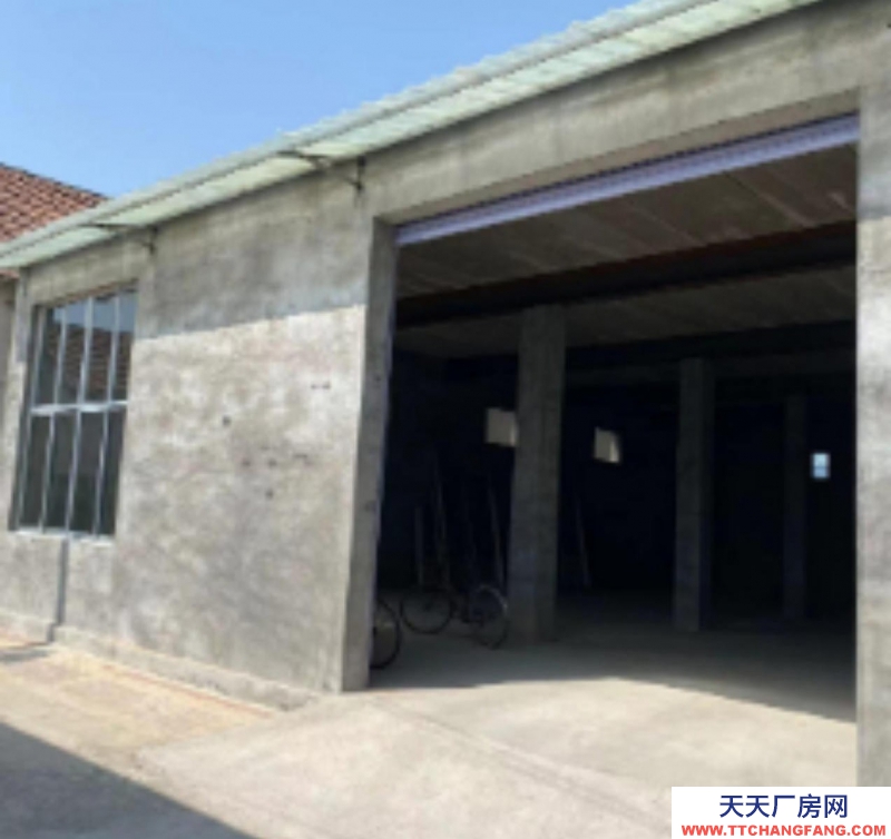 濟南商河出租商中路北段佟道口新平房230平