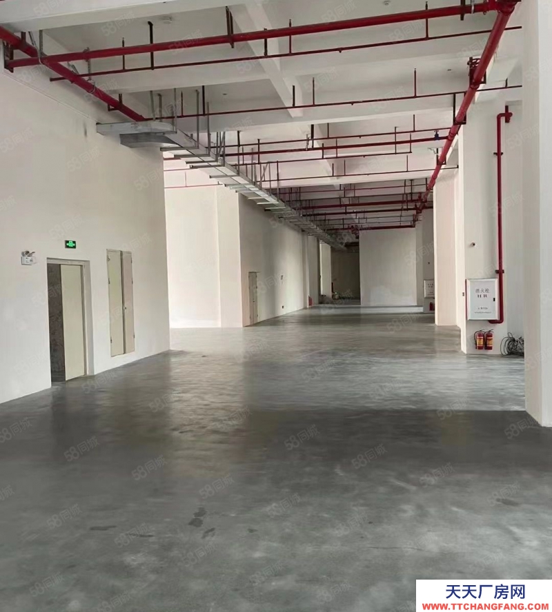 (出租) 廣州南沙45000方全新高質(zhì)量多功能園區(qū)廠房，精裝修，可分租