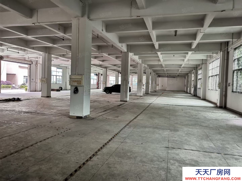 (出租) 廣州南沙一手房東全新廠房出租，證件齊全，空地面積大近國道大小分租