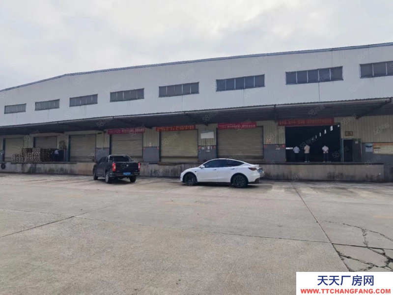 (出租) 廣州南沙滴水9米鋼結構8000平方，1000平方起租，手續齊全可環評