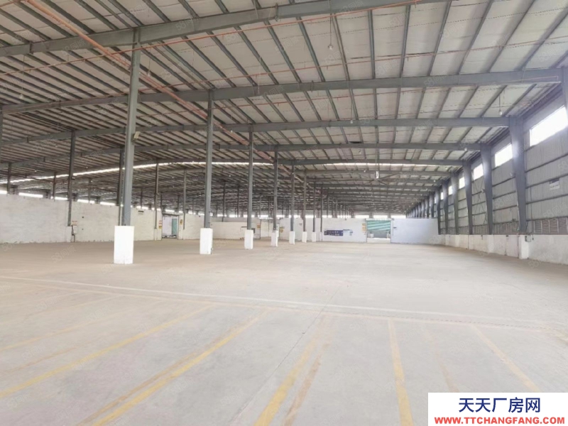 (出租) 廣州南沙滴水9米鋼結構8000平方,1000平方起租,手續齊全可環評