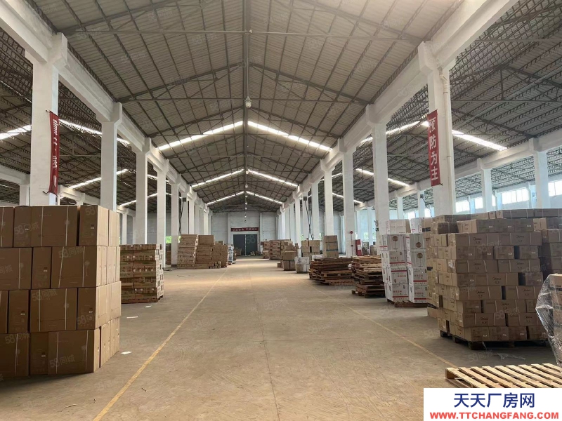 (出租) 廣州南沙欖核單一層高臺倉庫出租，園區空地面積大，一線主干道的