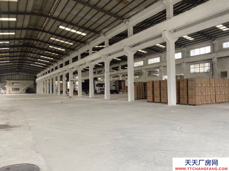 (出租) 廣州南沙攬核鎮近高速新出高臺倉庫7000方，超大空地，滴水9米