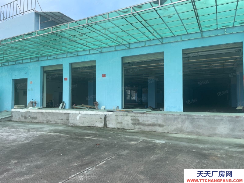 (出租)廣州南沙 單一層高臺倉庫，3000平方，空地大，靠大路邊，有消防證
