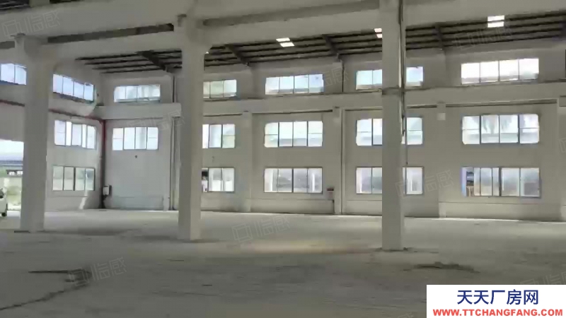 (出租) 廣州南沙欖核13000方高臺倉庫出租，高度10米，丙二類消防