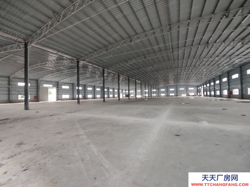 (出租) 廣州南沙欖核13000方高臺倉庫出租，高度10米，丙二類消防