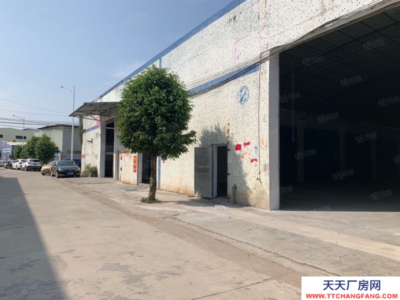 (出租) 廣州南沙大崗鋼構(gòu)廠房 倉庫660平方1580平方4400平方出租