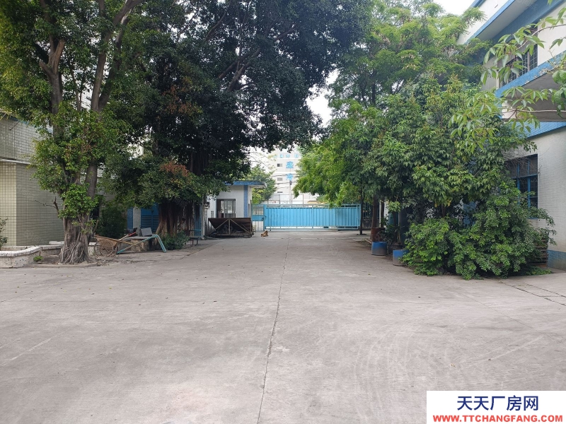 (出租) 東涌廣珠路獨(dú)門獨(dú)院工業(yè)園4500平低價倉庫出租單一層廠房出租