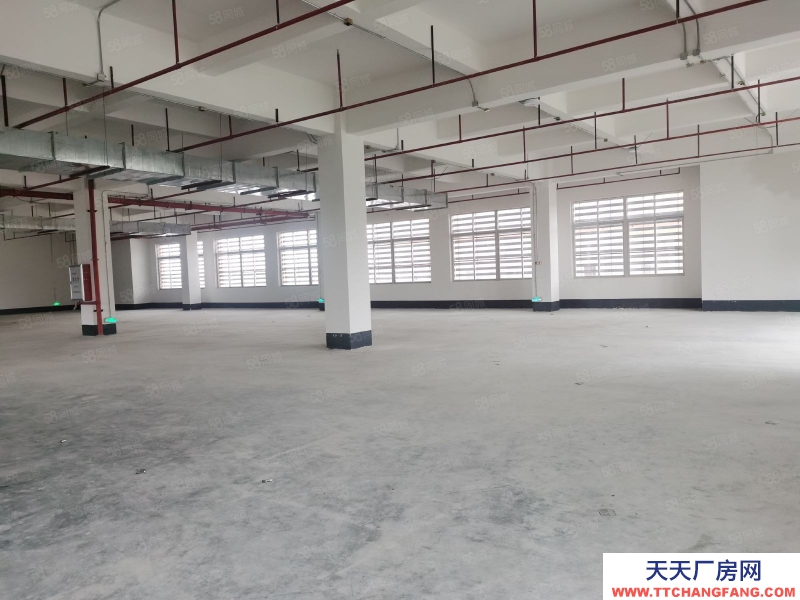 (出租)廣州 天河區園區標準一樓廠房倉庫出租1200平方，證件齊，空地大