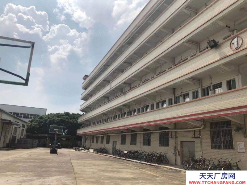 (出租) 花廣州天河園式紅本低價廠房倉庫出售宿舍可單獨出租獨立園區車位