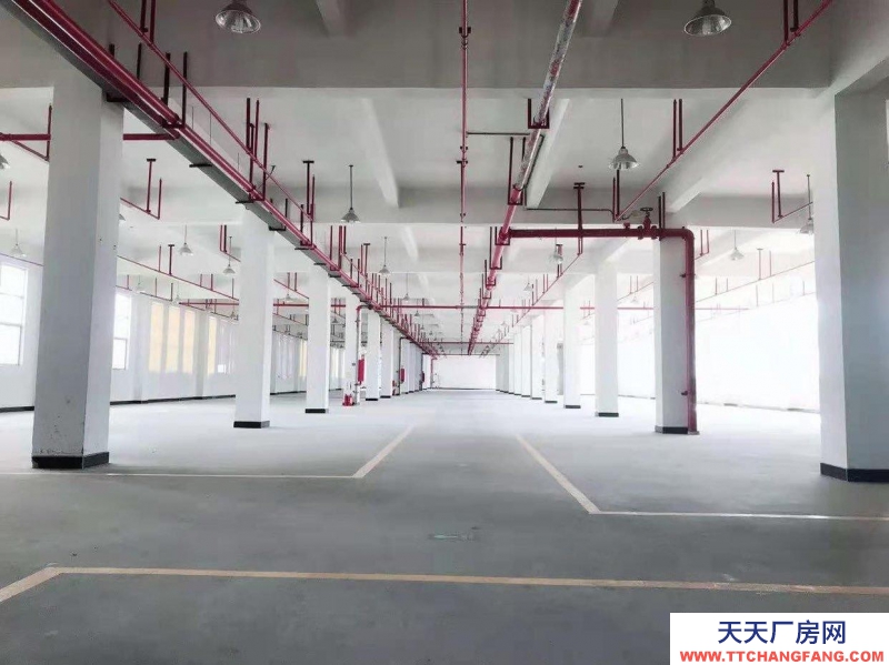 (出售) 廣州天河黃埔知識城,層高8米,二類消防,適合化妝品,注塑,等