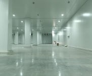 (出租) 武漢市漢南區常溫庫冷凍庫冷藏庫