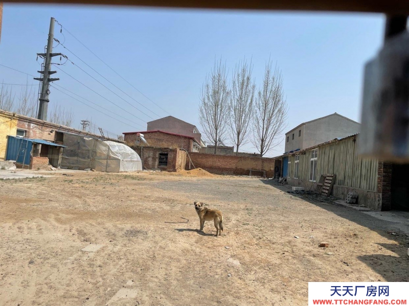 石家莊 辛集  新壘頭工業區廠房帶院帶場地出租