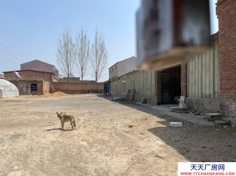 石家莊 辛集  新壘頭工業區廠房帶院帶場地出租