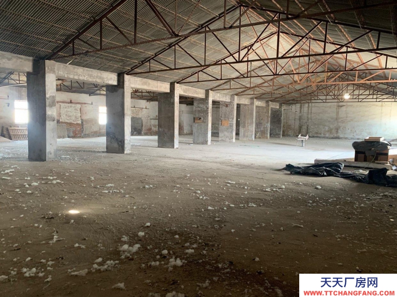 石家莊 辛集 1000平倉(cāng)庫(kù)辦公區(qū)域,院子一應(yīng)俱全