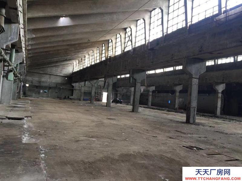 石家莊 辛集辛集城區廠庫房門店