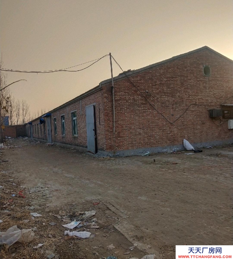 石家莊 辛集 獨門獨院，水電齊全，環境不錯。