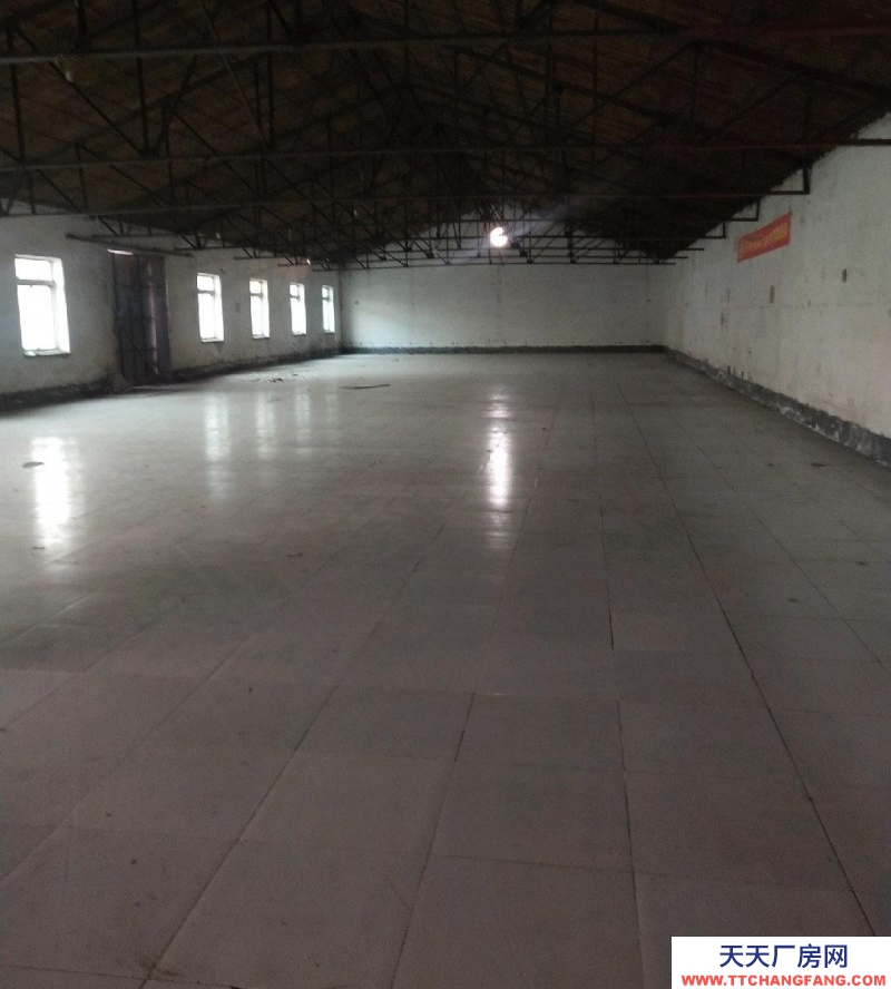 石家莊 辛集 獨門獨院，水電齊全，環境不錯。