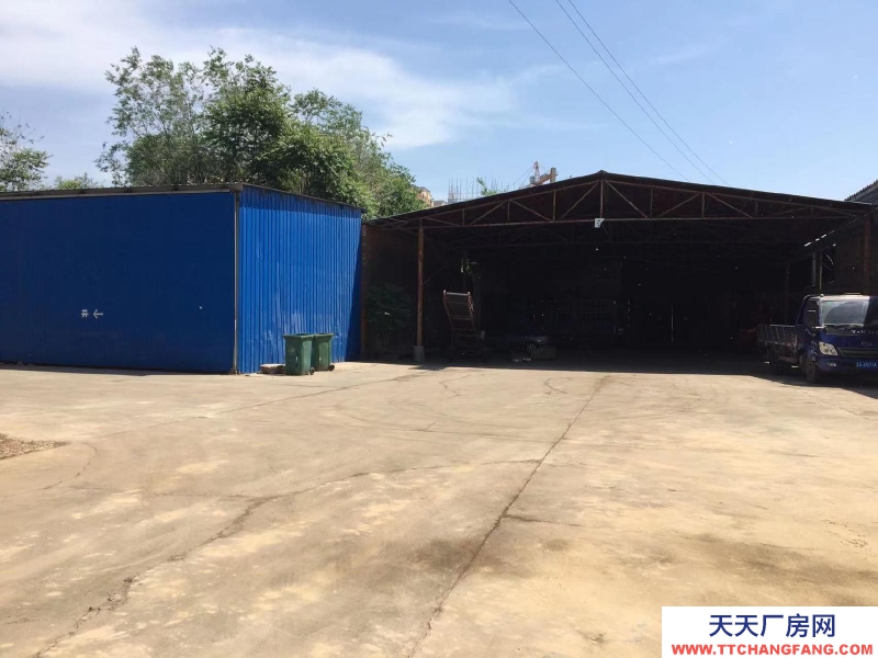 石家莊 辛集辛集城區門店