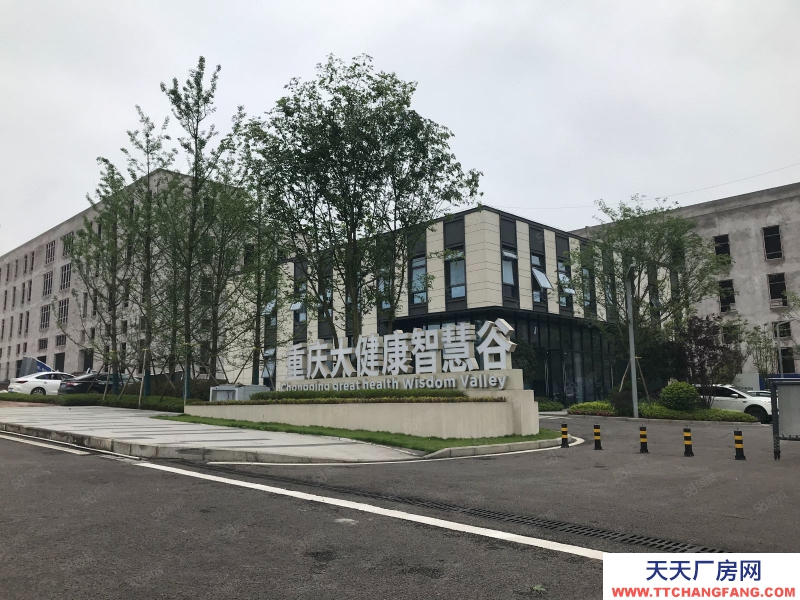 重慶巴南年中業績沖量 指定房源2開頭 主城獨棟準現房