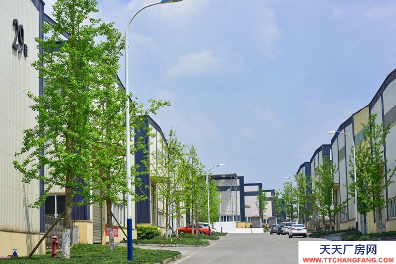 重慶巴南現房！獨棟廠房出售，廠辦一體，配套完善