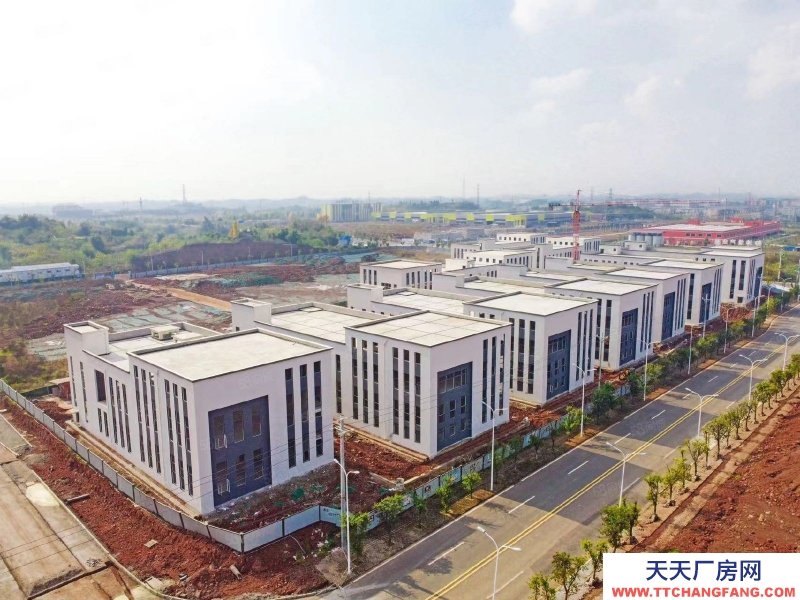 重慶長壽小面積單層廠房,園區(qū)自帶污水處理池