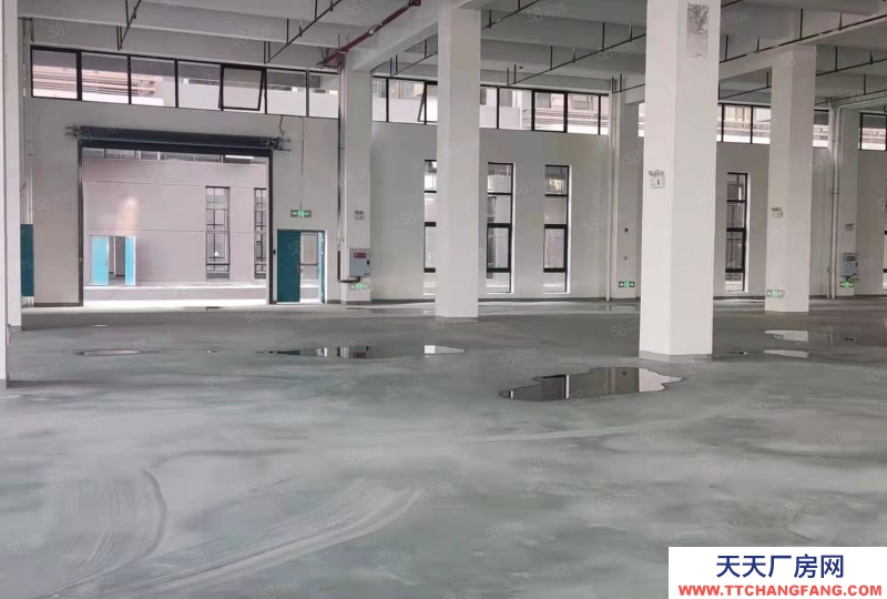 出租 重慶 長壽 獨棟廠房 行業不限