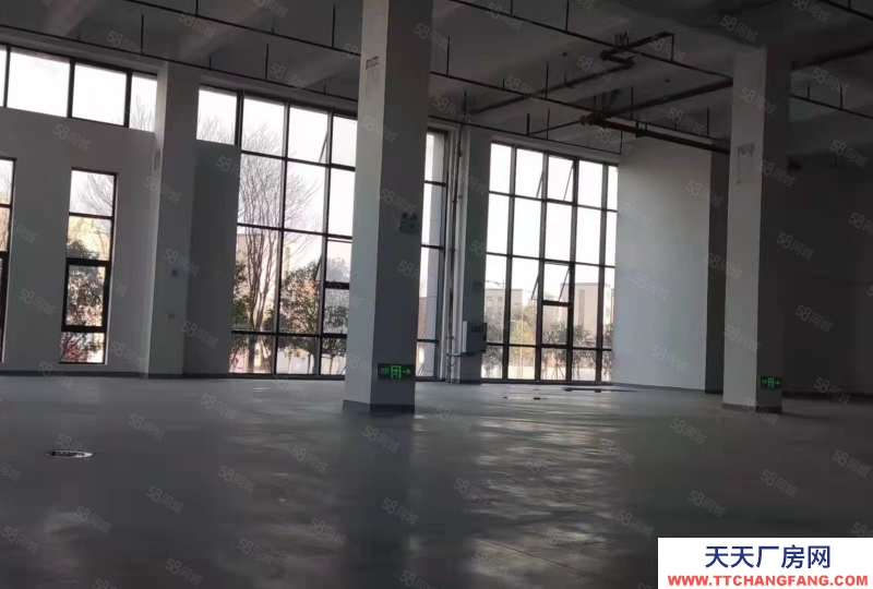 出租 重慶 長壽 獨棟廠房 行業不限