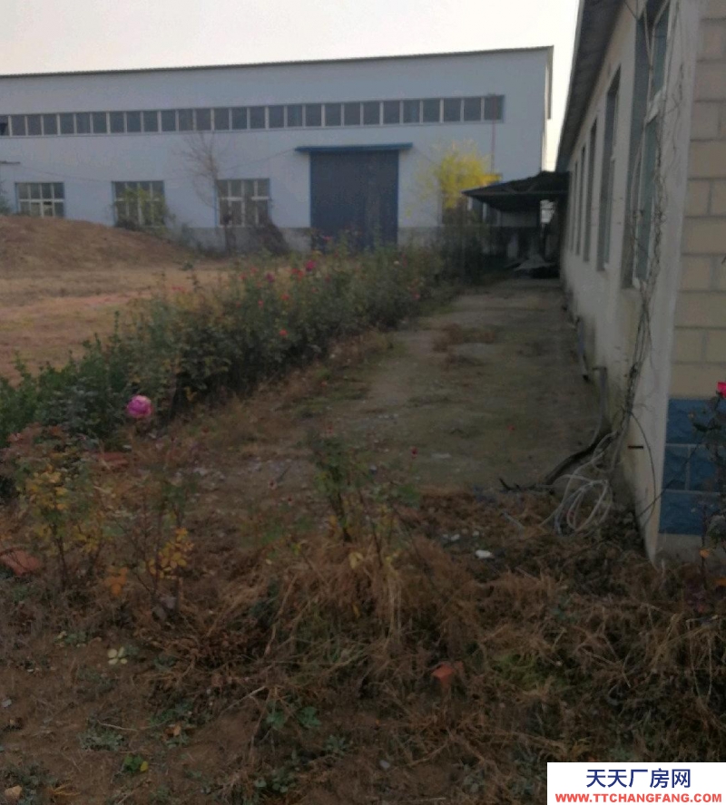 濟(jì)南章丘區(qū)赭山大道倉庫出租