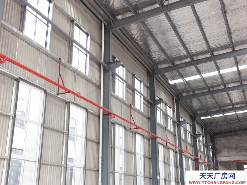 (出租) 重慶江津獨棟獨院鋼構廠房出租,機加行業,24米拖掛車隨意進出