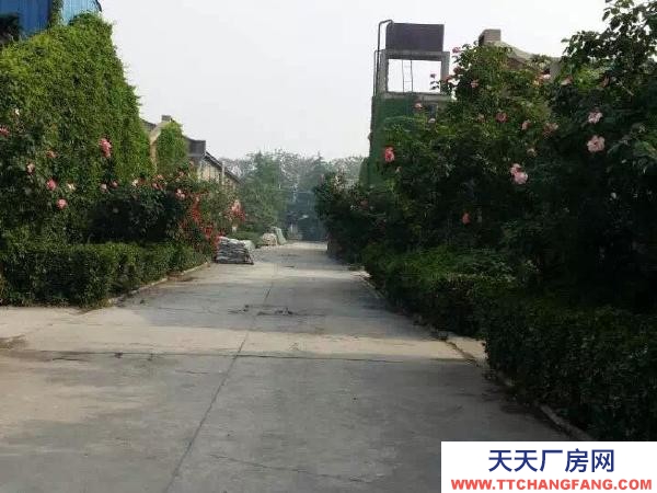 (出租) 鄭州中原工廠大院二十余畝，有大小廠房倉庫十幾個現分租