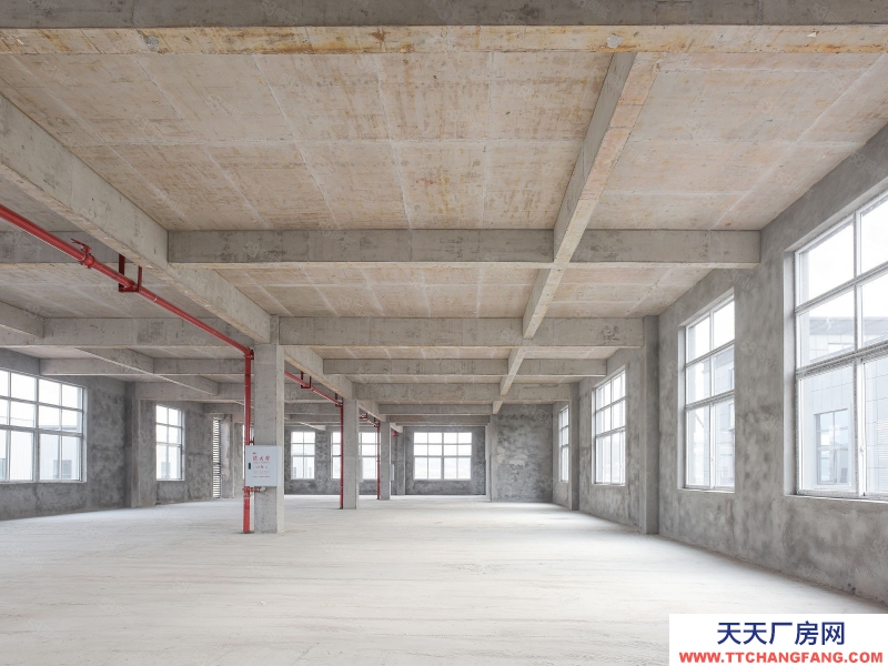 (出售) 重慶江津7.5米高獨門獨戶高速路口的廠房