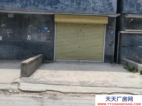 (出租) 鄭州中原房東直租全市可售。