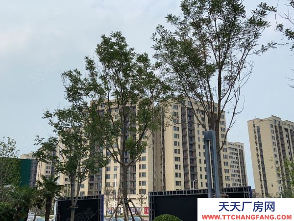 (出售) 鄭州中原薛店，港區(qū)周邊平層廠房，企業(yè)獨棟