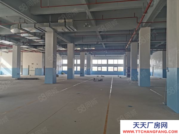 (出租) 全新標準化廠房 租售 宿舍食堂等全面配套