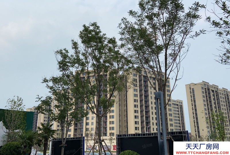 (出售) 鄭州管城華南城周邊大平層廠房，倉(cāng)庫(kù)，企業(yè)獨(dú)棟