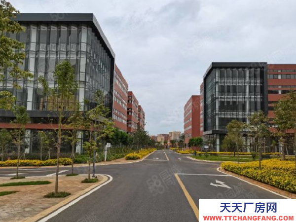 (出租) 國企保障，全新標準廠房出租，無中介，食堂宿舍配套齊全