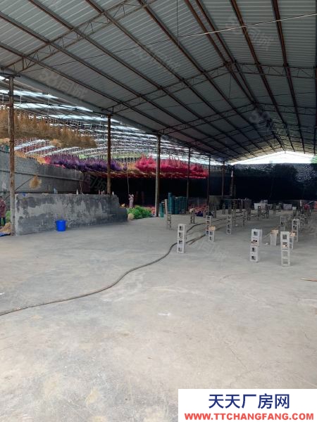 (出租) 宜良狗街鎮 4000平7元每平獨門獨院標準廠房具備獨立辦公室