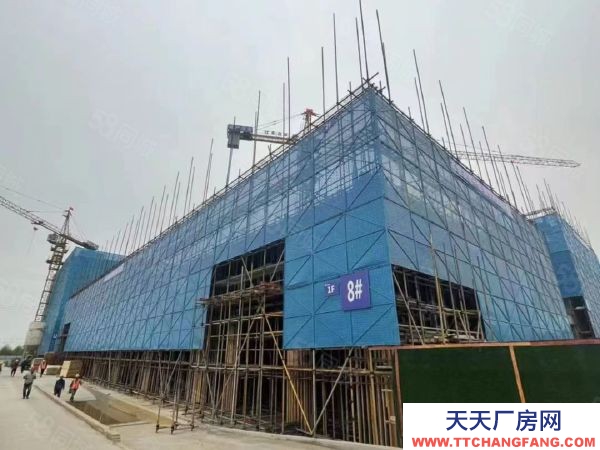 南京市鼓樓區(qū)中國南山 橋林唯一在售廠房 交通便利 產(chǎn)業(yè)集聚 層高8.1米