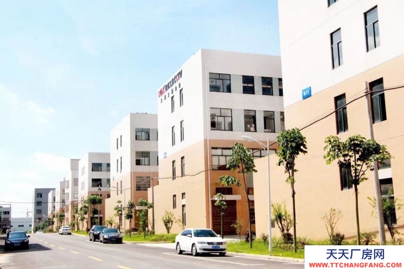 青島市南機場核心地段，位置好，大產權 獨棟廠房