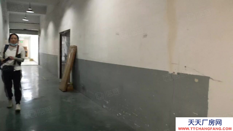 杭州上城(出租) 直租城東新城倉庫330方特價處理，層高4米，后一間得房率高