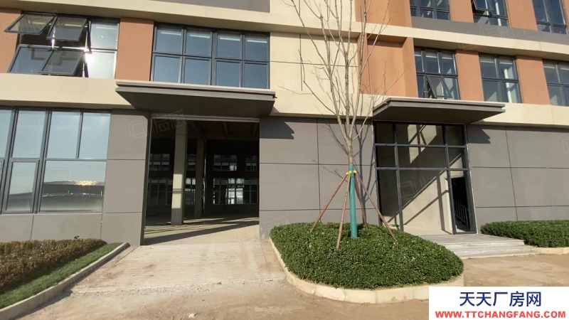 青島市南204國道旁大產權廠房 8.1米層高 現房可貸款低首付