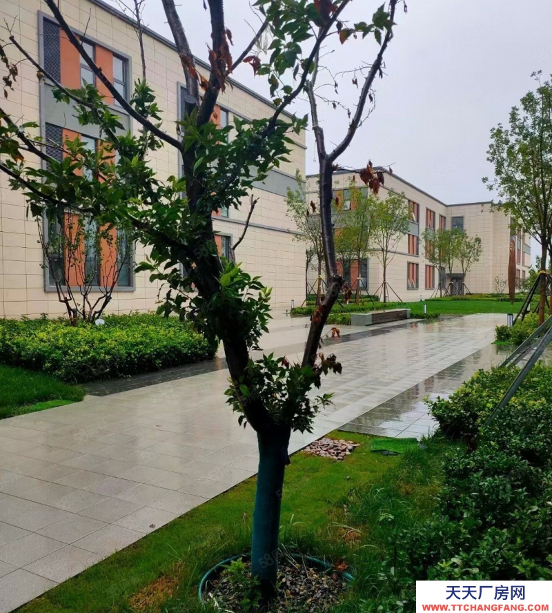 青島市南204國道旁大產(chǎn)權(quán)廠房 8.1米層高 現(xiàn)房可貸款低首付