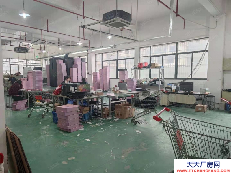 杭州上城(出租) 九堡一樓倉庫出租 1280方 可分租 適合各類倉儲使用