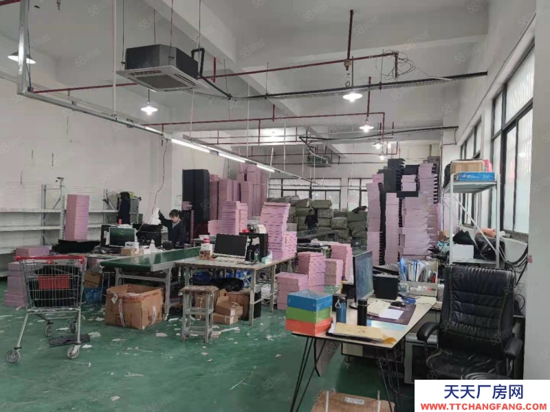 杭州上城(出租) 九堡一樓倉庫出租 1280方 可分租 適合各類倉儲使用