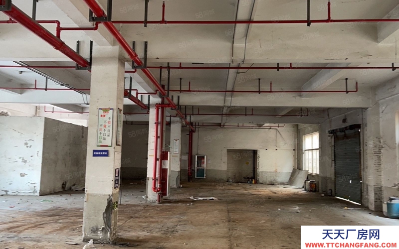 杭州上城(出租) 九堡科技園一樓600平方岀租